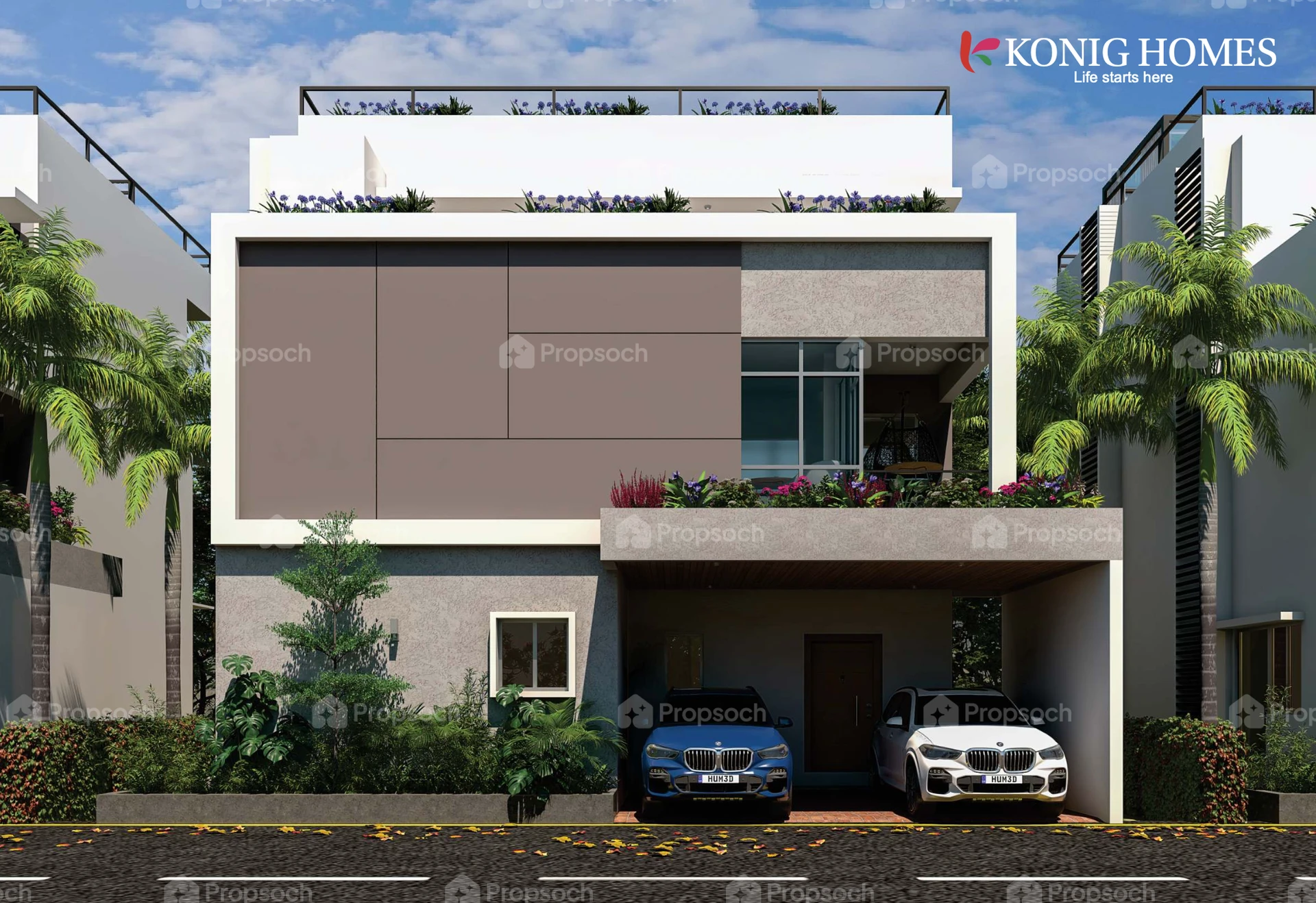 Konig Fortune County
