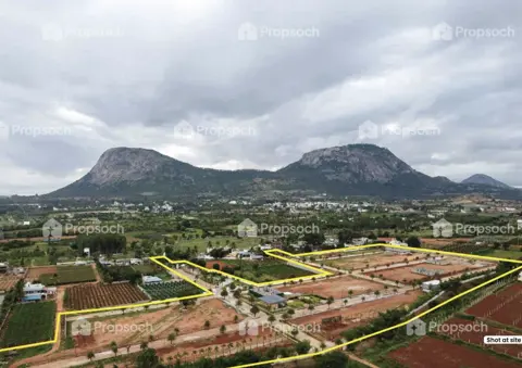 Rare Earth Montira,Nandi Hills,Bengaluru- Views