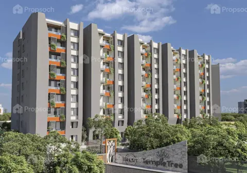 Binary Temple Tree,Sarjapur,Bengaluru- Views